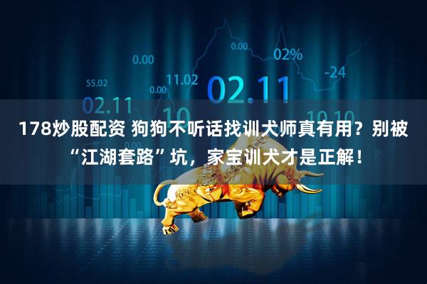 178炒股配资 狗狗不听话找训犬师真有用？别被“江湖套路”坑，家宝训犬才是正解！