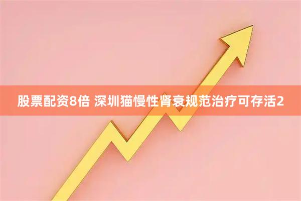 股票配资8倍 深圳猫慢性肾衰规范治疗可存活2