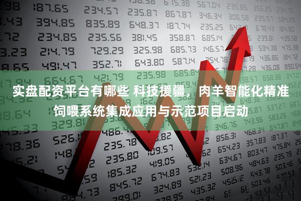 实盘配资平台有哪些 科技援疆，肉羊智能化精准饲喂系统集成应用与示范项目启动
